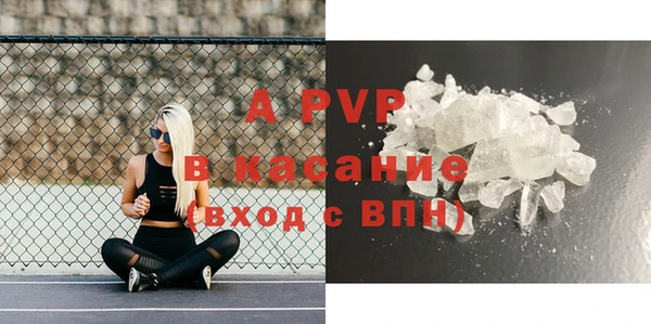 шишки Магас