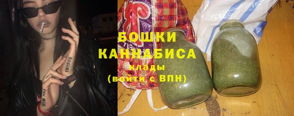бошки Новодвинск