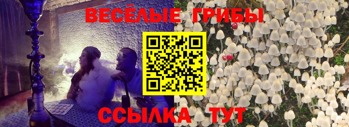 Галлюциногенные грибы прущие грибы Кстово