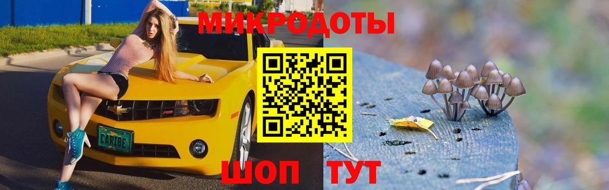 Кстово  Псилоцибиновые грибы Cubensis  Псилоцибиновые грибы мухоморы  Вход с VPN 